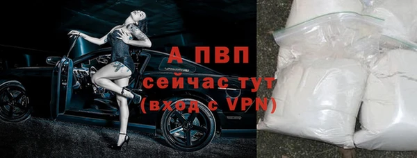 молекула духа Медвежьегорск