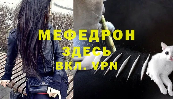 крисы Мегион
