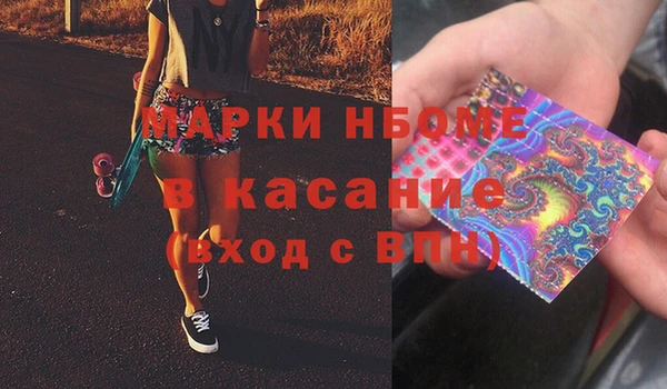 крисы Мегион