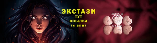 крисы Мегион