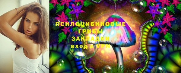 мдпв Михайлов