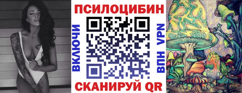 Псилоцибиновые грибы Psilocybine cubensis  Хилок 